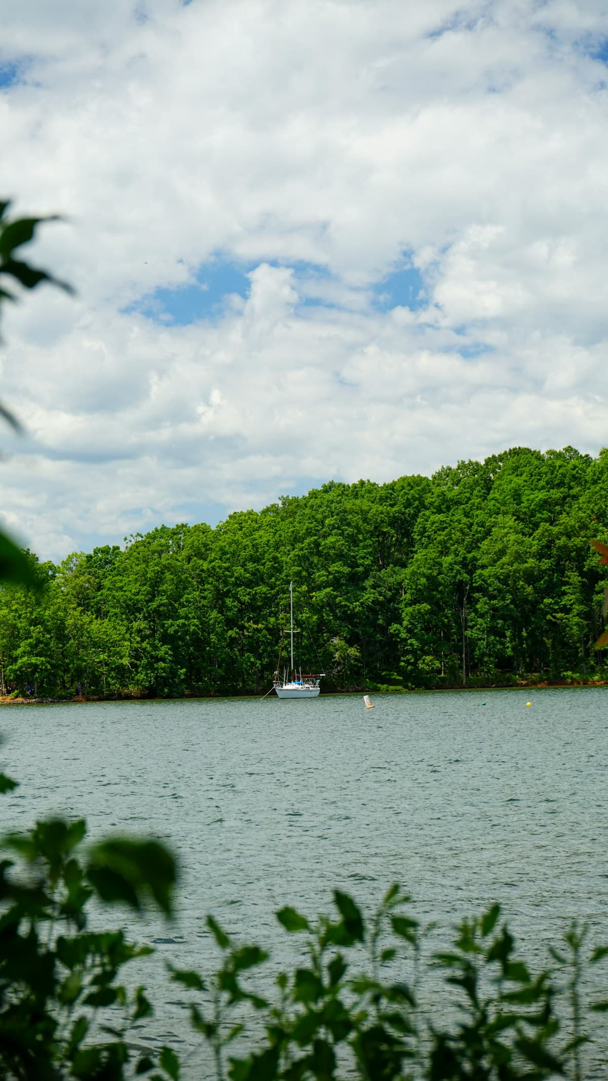 Lake Norman, North Carolina water bordered by trees