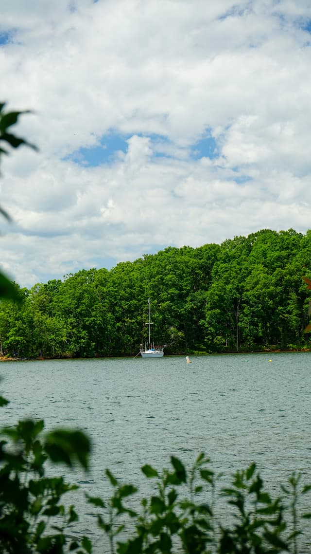 Lake Norman, North Carolina water bordered by trees